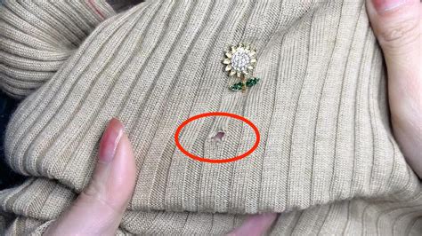 fixing moth holes in clothes